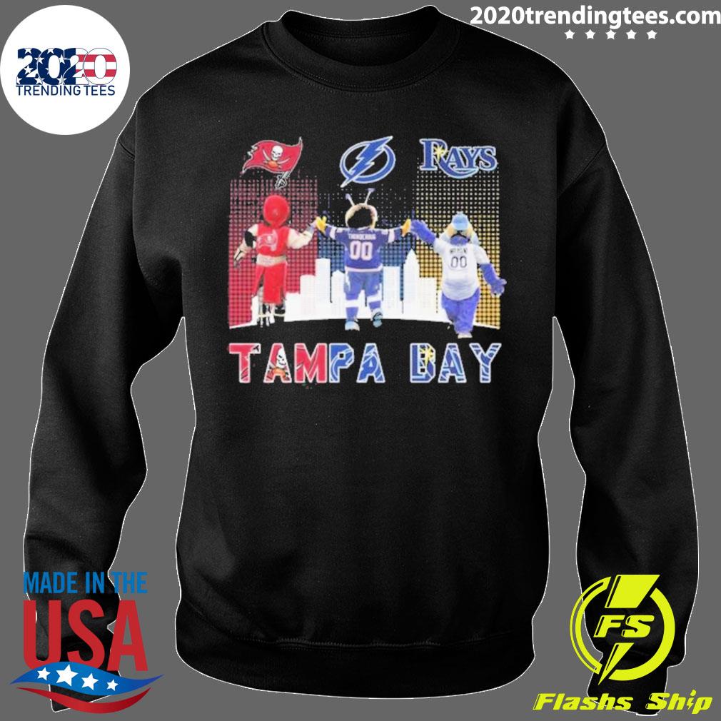 Skyline Tampa Sports Team Shirt Buccaneers Rays And Lightning Shirt