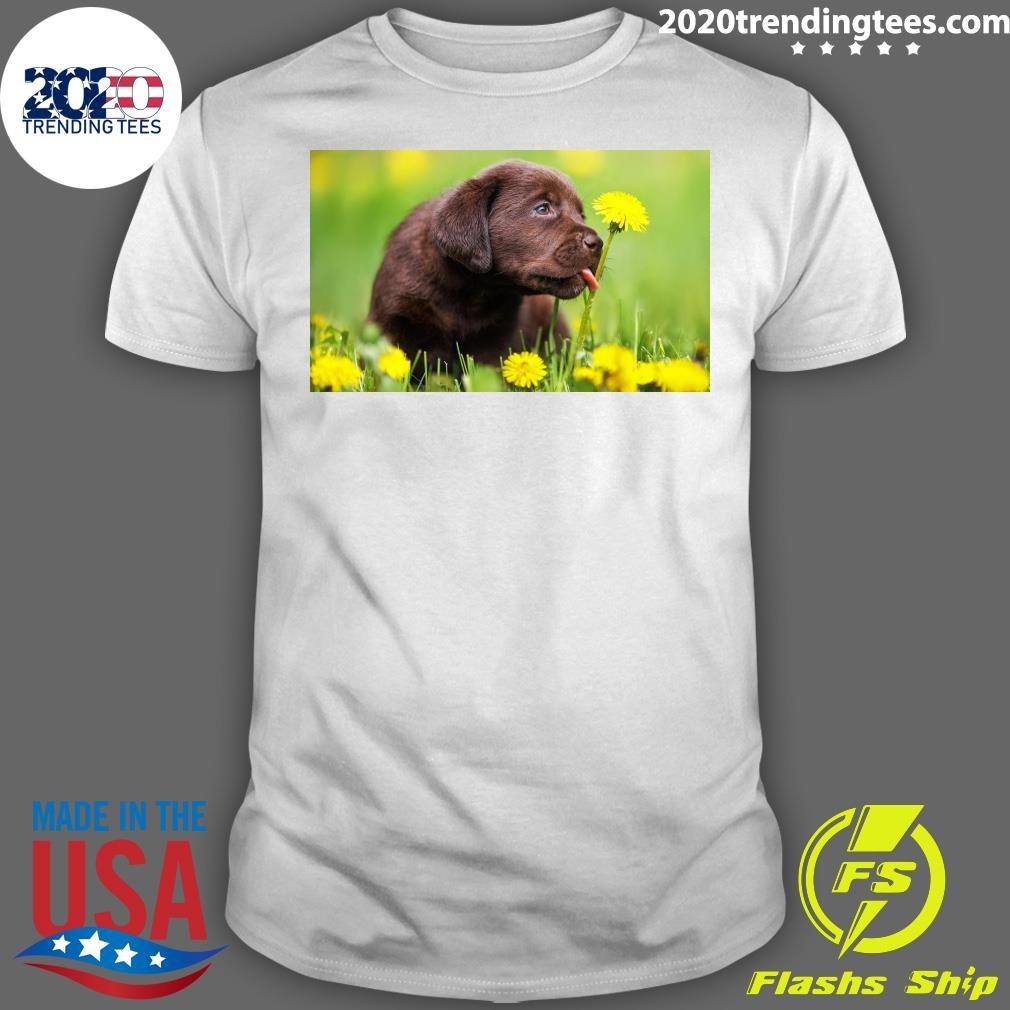 Best National Dog Day 2024 Honoring Man's Best Friend T-shirt