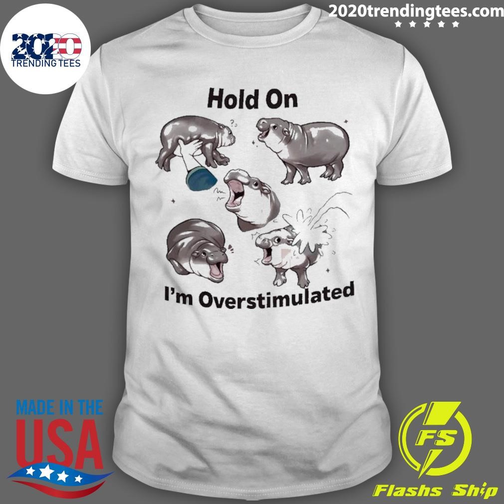 Nice Moo Deng Hold On I’m Overstimulated 2024 T-Shirt