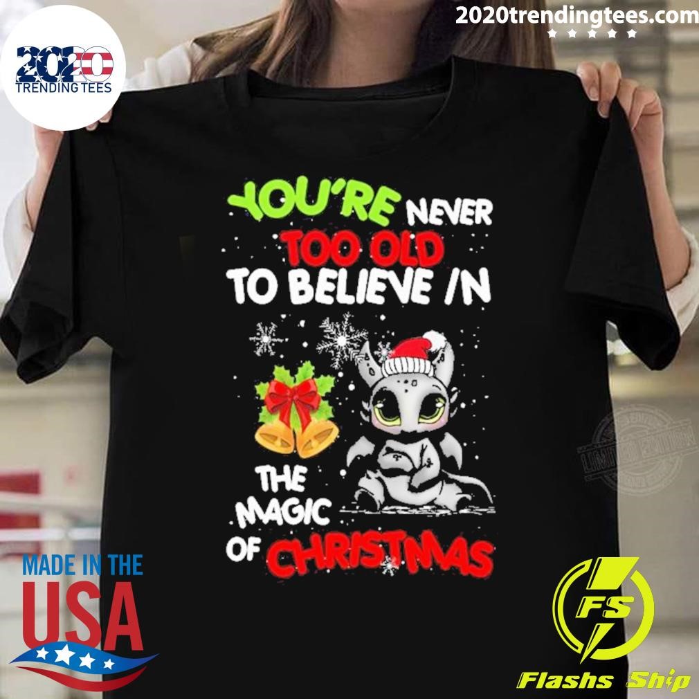 Nice Toothless You’re Never Too Old To Believe In The Magic Of Christmas 2024 T-shirt