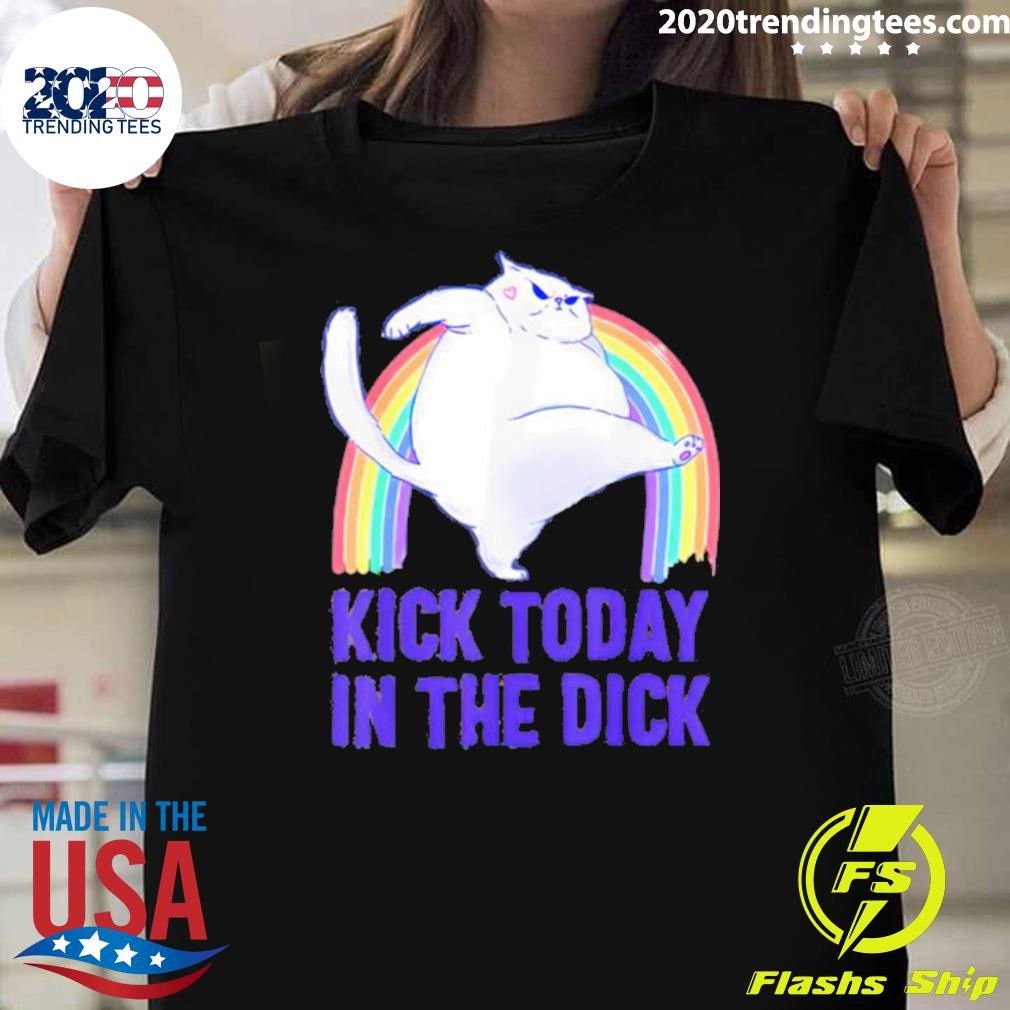 Funny Fat Cat Rainbow Kick Today In The Dick T-Shirt